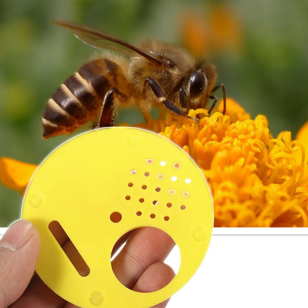 JX-LCLYL 12pcs New Yellow Beekeepers Bee Hive Nuc box Entrance Gates Beekeeping Equipment