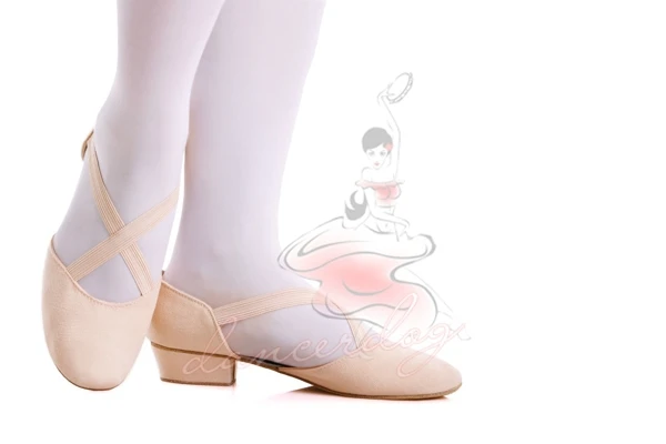 ballet shoes next day delivery