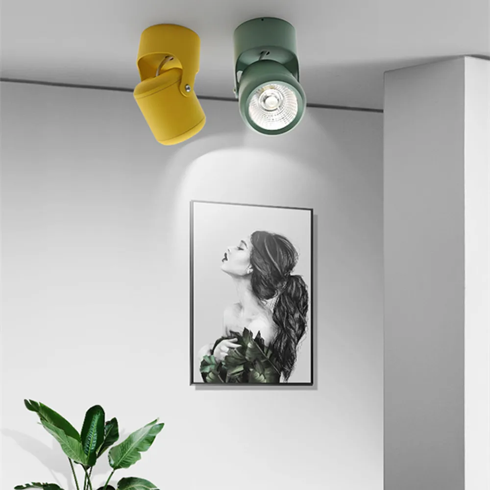 [DBF]Macaron Surface Mounted Downlight Angle Adjust 7W 10W 15W 20W Ceiling Spot Light AC110/220V for Kitchen Living room Decor