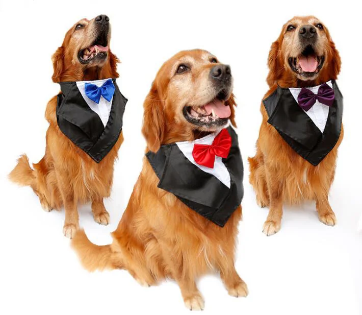 新しい到着大型犬ファッション結婚式蝶ネクタイグルーミング大きな犬ネクタイペットネックウェアーペット犬ネクタイペットアクセサリー1ピース Dog Angel Dog Travel Accessoriesdog Designer Accessories Aliexpress