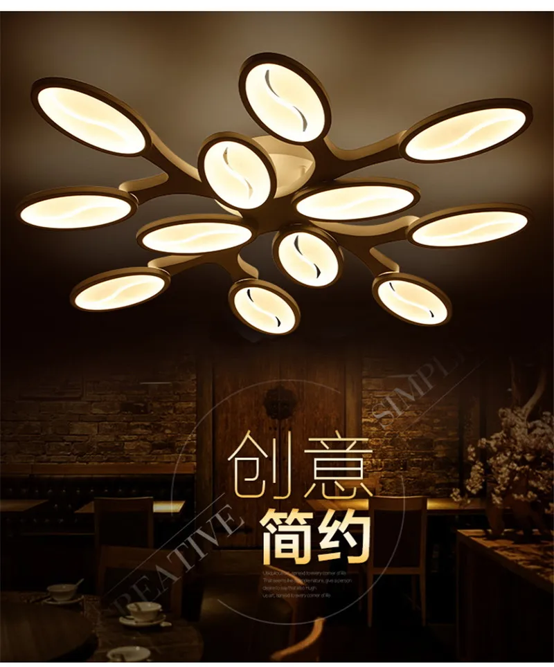 Post modern ceiling lamp (10)
