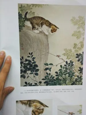 Chinese Gongbi Painting Book Cat \ Chinese Gongbi Painting Book Cat \