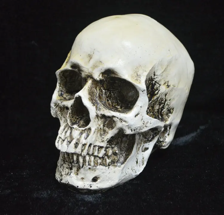 

Resin Halloween Skeleton Skull, Halloween Skull Bones Horror Props Decorations Holiday Home Bar Party Ornaments