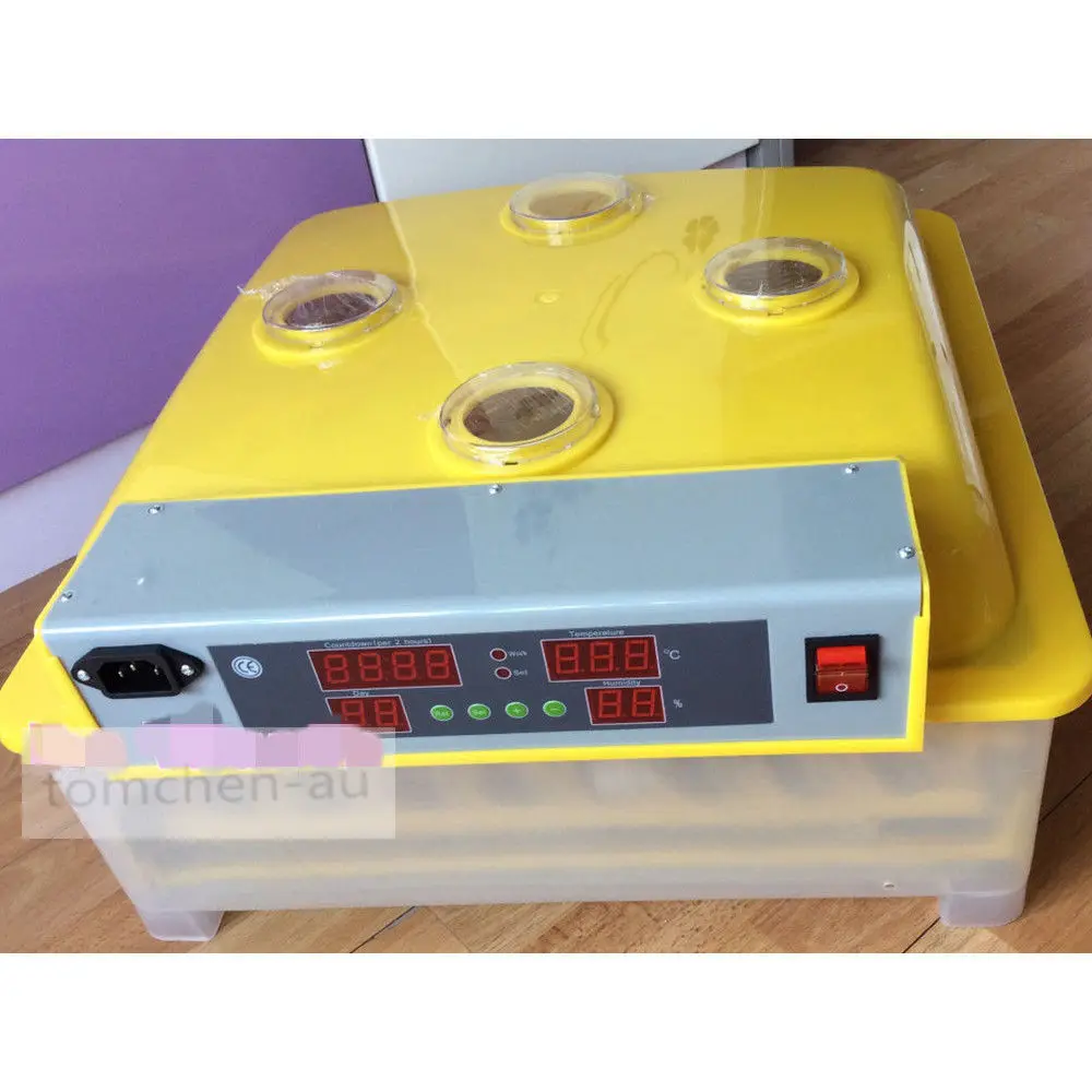 mini chicken incubator egg automatic mini egg incubator 48 eggs chicken incubator top selling automatic egg incubator mini 48 egg incubator for sale