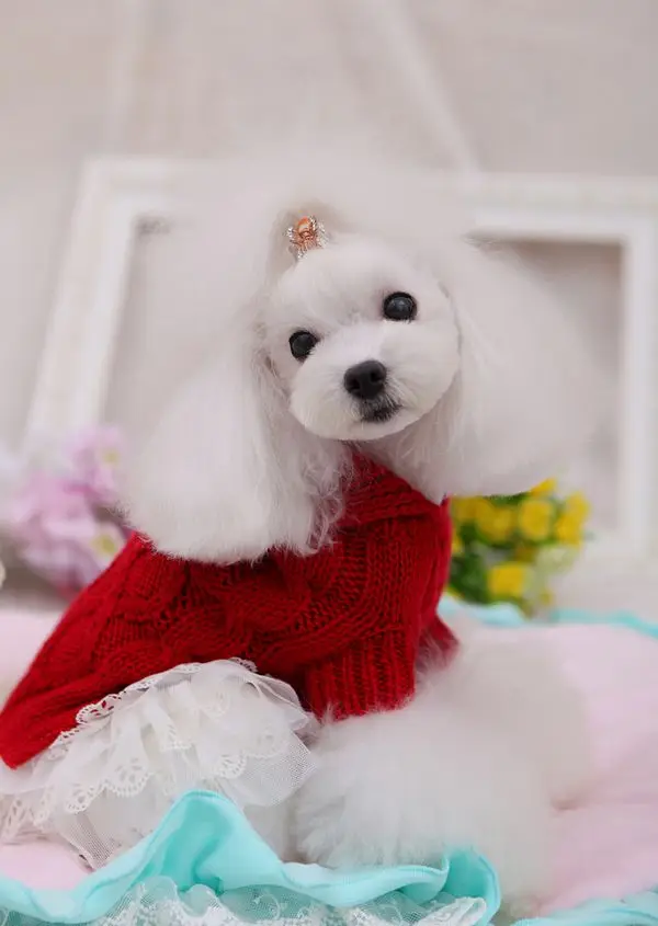 Одежда с принтом в виде собак в продаже Ретро ручки иглы очаровательный свитер для собаки, для питомца одежда ropa perro mascotas; богемный комплект, roupa cachorro