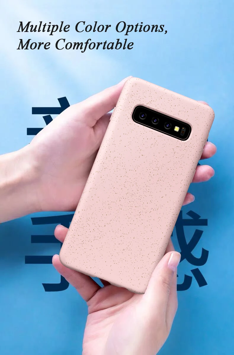 Samsung S10 Plus Case (4)