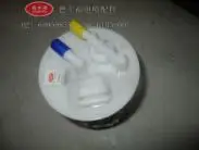 

famous brand fuel pump assembly for Chery Tiggo 2.4 #01051019-149