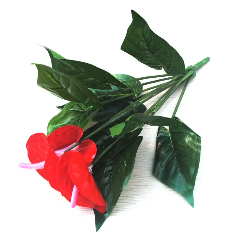Anthurium, green potted anthurium flowers indoor green plants balcony office desktop artificial flowers bonsai Anthurium, green potted anthurium flowers indoor green plants balcony office desktop artificial flowers bonsai