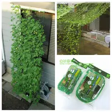 Support pour plantes en Nylon et treillis, 1,8x3.6m, matériel pour plantes, filet d'escalade, Fournitures de jardin, vignes et fruits, livraison