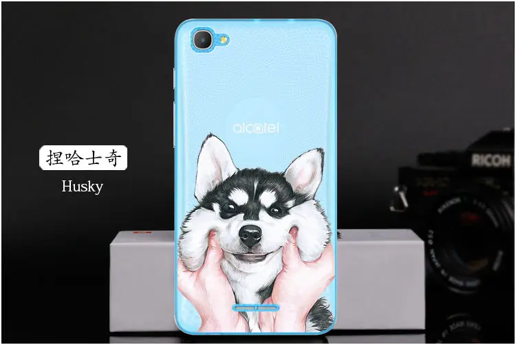  Husky