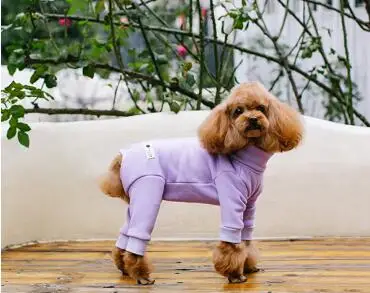 Одежда для собак осень/зима теплые бархатные комбинезоны для женщин маленькие собаки защищают живот мягкие пижамы пальто с высоким горлом чихуахуа - Цвет: Purple