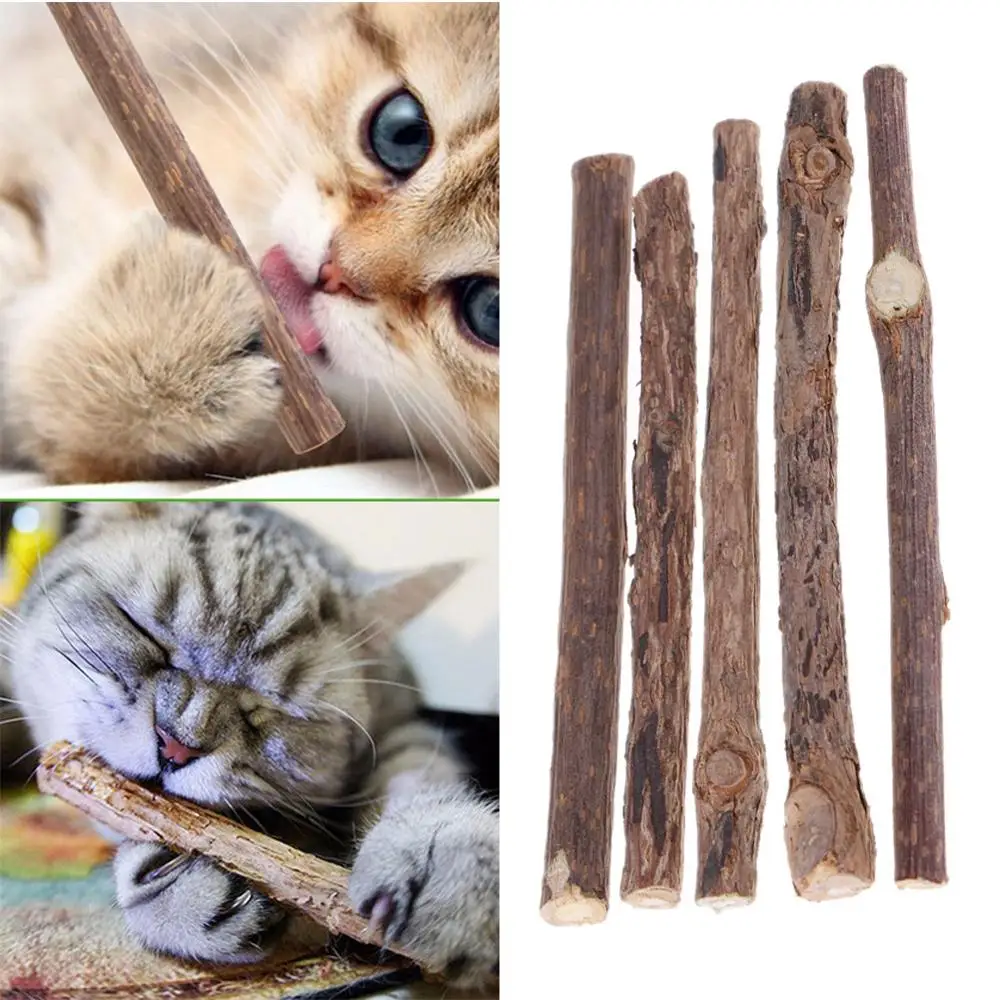 

5/10/15/20pcs Pure Natural Catnip Pet Cat Toy Cat Snacks Sticks Molar Toothpaste Branch Cleaning Teeth Silvervine Pet Supplies