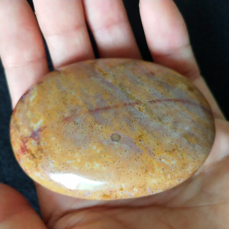 Натуральный камень морская яшма пальмовые целебные кристаллы декоративная коллекция камней и кристаллов - Color: E30            149g