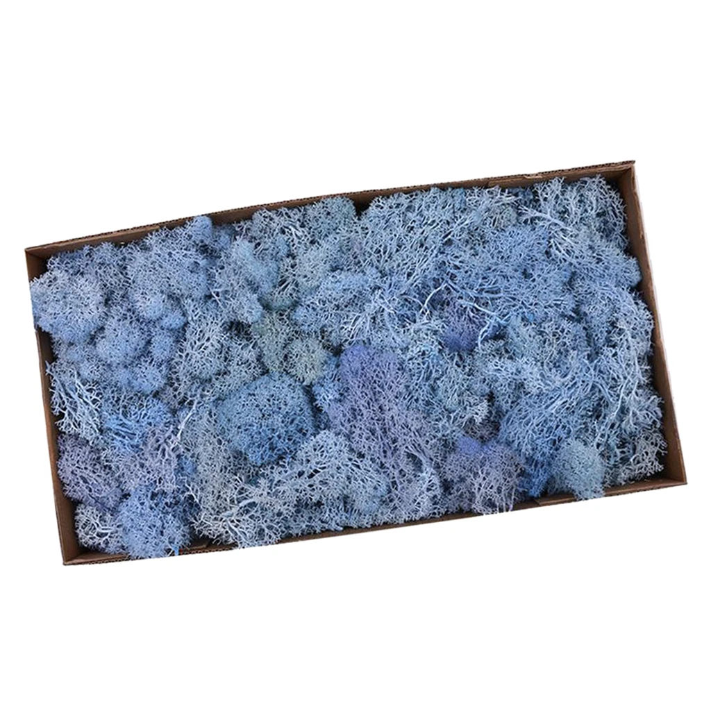 Colorful Artificial Moss Plant DIY Dried Reindeer Moss Floral Crafts Flowers for Plant Pot Garden Home Wedding Decor