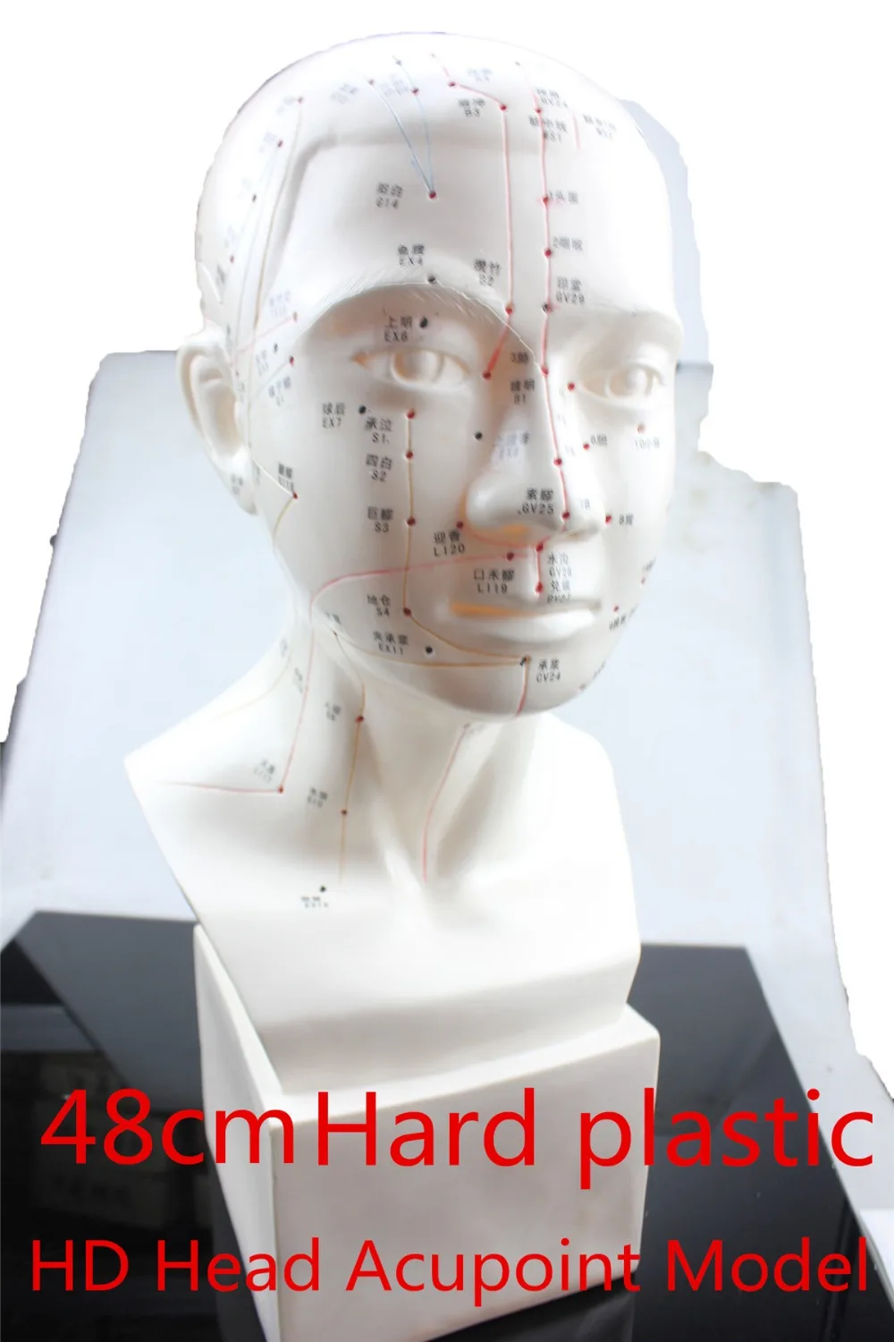 Hd Head Acupuncture Model 48cm High Definition Face Facial Acupoint Acupuncture Point Model Head Acupuncture Teaching Hard Model Aliexpress Beauty Health