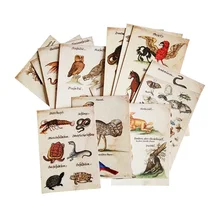 16 шт./лот, новые винтажные почтовые открытка с животным, сова, змея, насекомое, милый и зверь, поздравительные открытки, Классические открытки