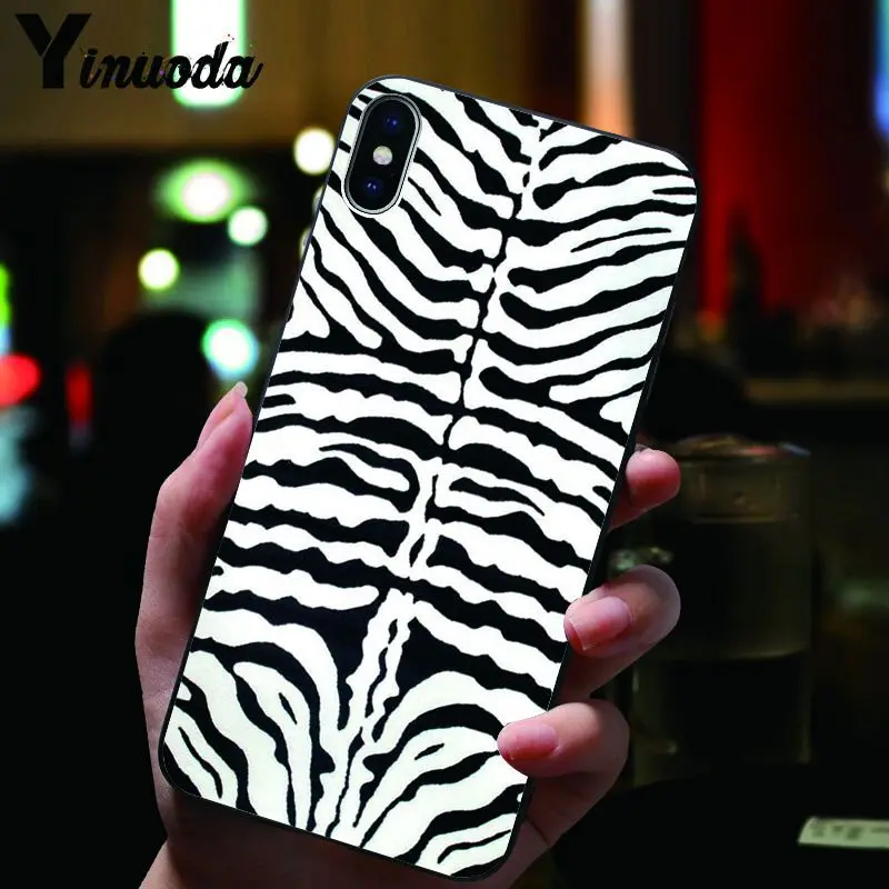 Animal Black white Zebra Stripe