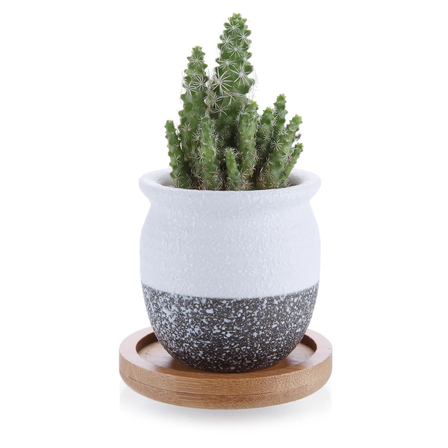 

T4U 2.25 Inch Ceramic Mini Korea Style Snow Serial succulent Cactus Plant Pot Flower Pot Container Planter with Bamboo Trays