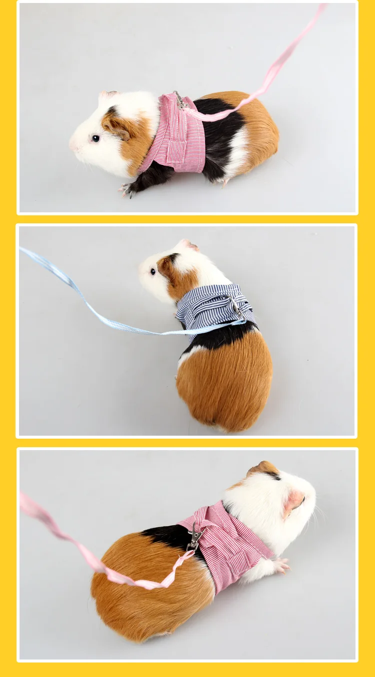 8848028777_1798973395