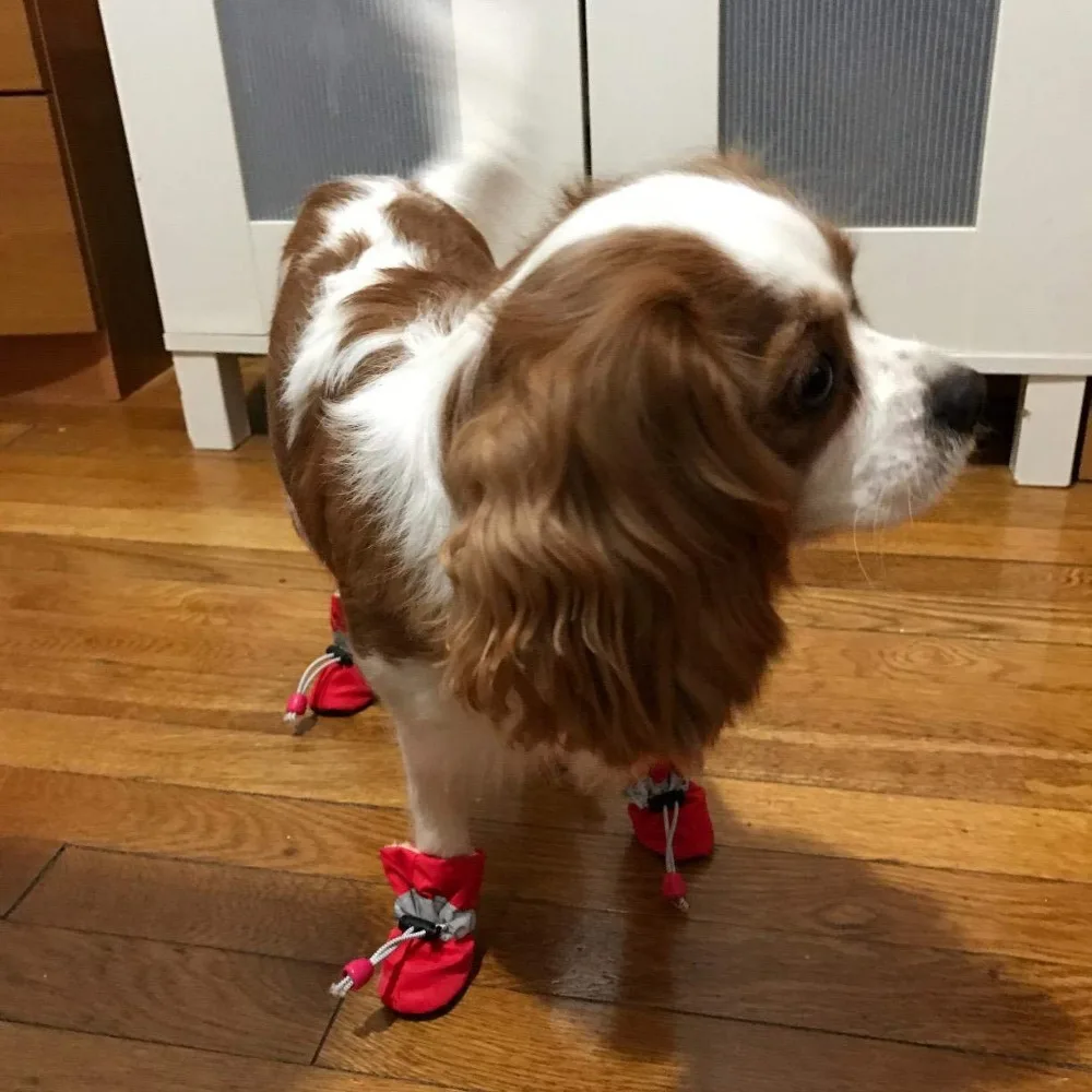 717XCa-nX-L._SL1224_