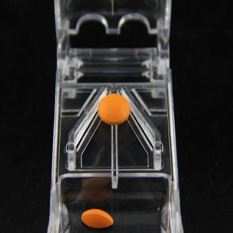 81911_no-logo_081911-1-09