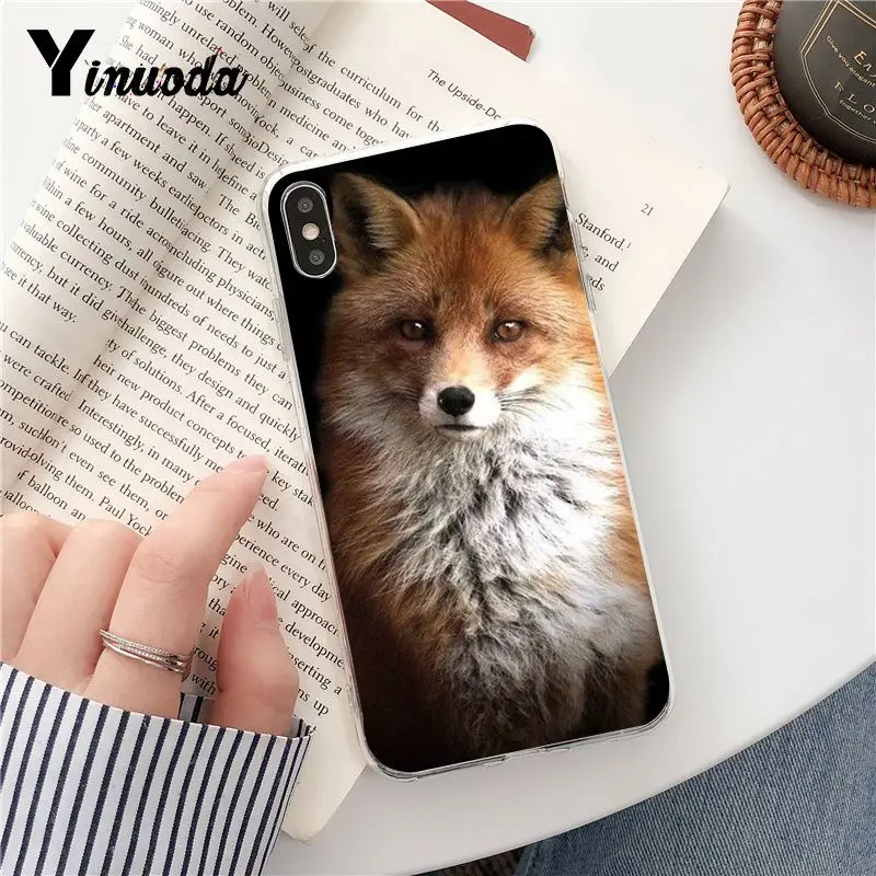 fox is sleeping