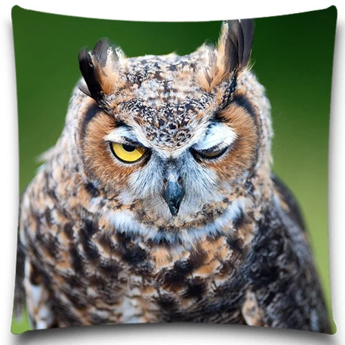Seri Hewan Burung Hantu Dengan Satu Mata Tertutup Cetak 2d Kreatif Katun Polyester Sarung Bantal Bantal Kasus Persegi 5 Ukuran 9 Gaya Cushion Cover Pillow Case Squarepolyester Cushion Covers Aliexpress