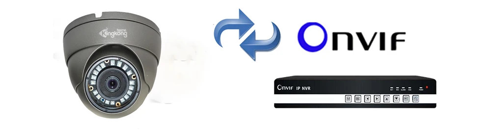 C10 onvif