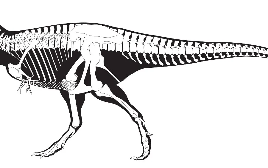 Ruang Tidur Kain Dekorasi Rumah Dinding Poster Kerangka Dinosaurus Tyrannosaurus