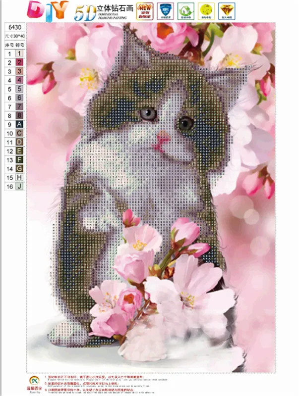 6430