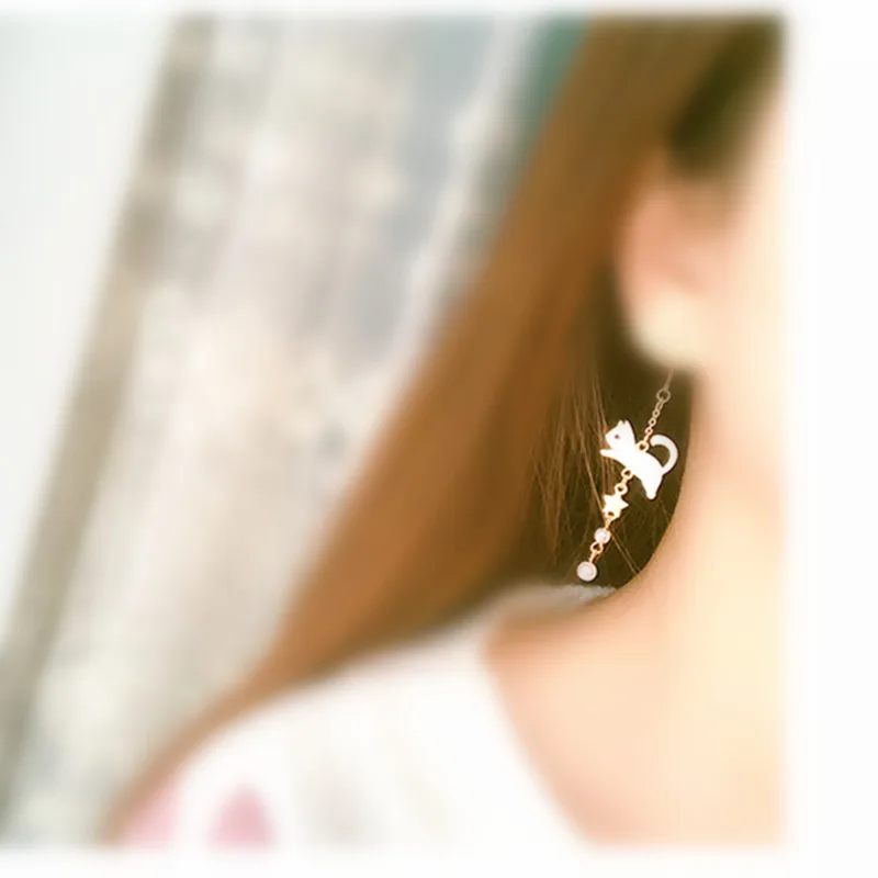 Show off your creative and fun side with a pair of these cool Cat Fish Bone Asymmetry Earrings lolithecat.com