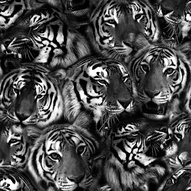 

TSAUTOP Size 0.5m x 20m water transfer printing film water transfer printing systems TSCW1779