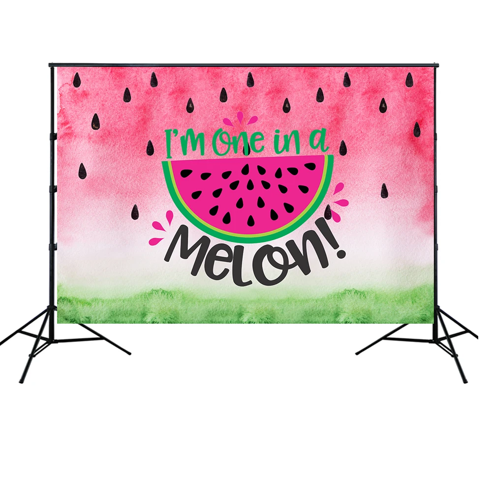 HUAYI Watermelon one in a Melon Backdrop Summer Kids 1st Birthday Party Photo Background Cake Table Watermelon Party w-2064
