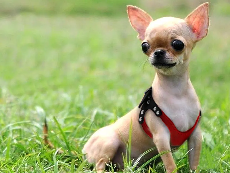 1-(24)