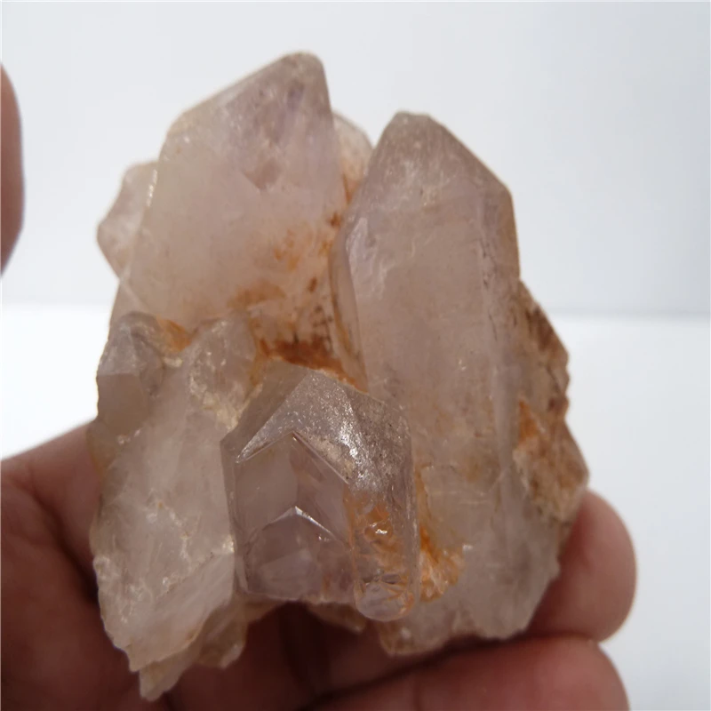 P1500579