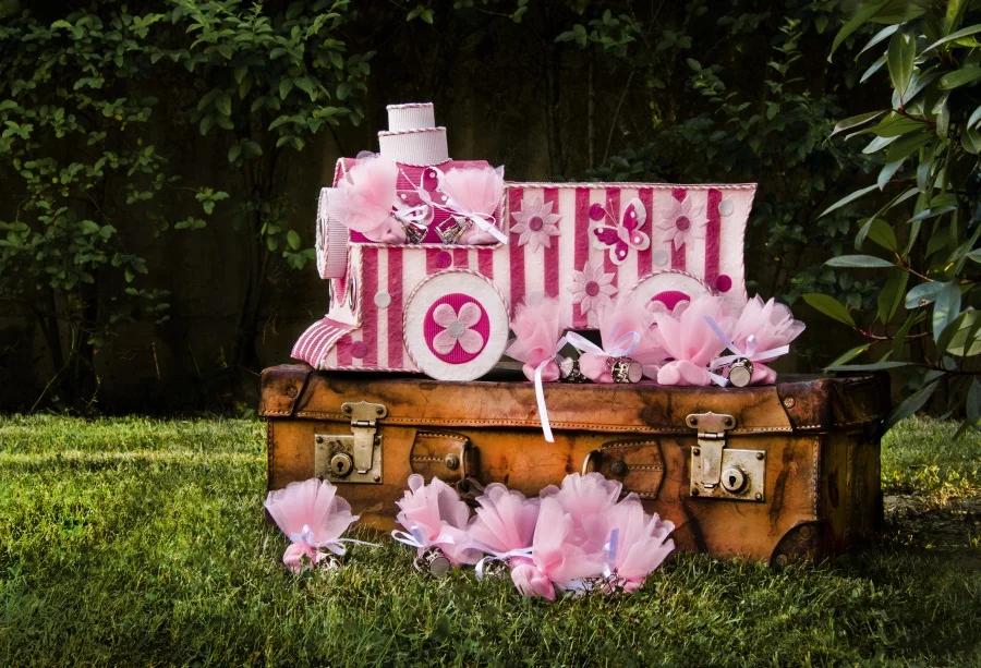 

Laeacco Park Suitcase Pink Toy Train Model Baby Photography Backgrounds Customized Photographic Backdrops For Photo Studio
