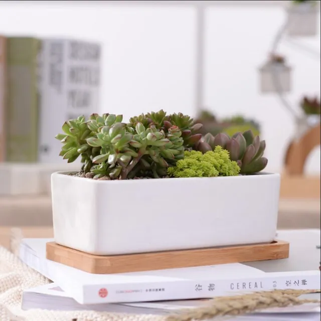 Kerámia Húsos Virágcserepek Minimalista Téglalap Fehér Zamatos Növényi Pot Porcelán Asztali Virág Zakka - Image 4