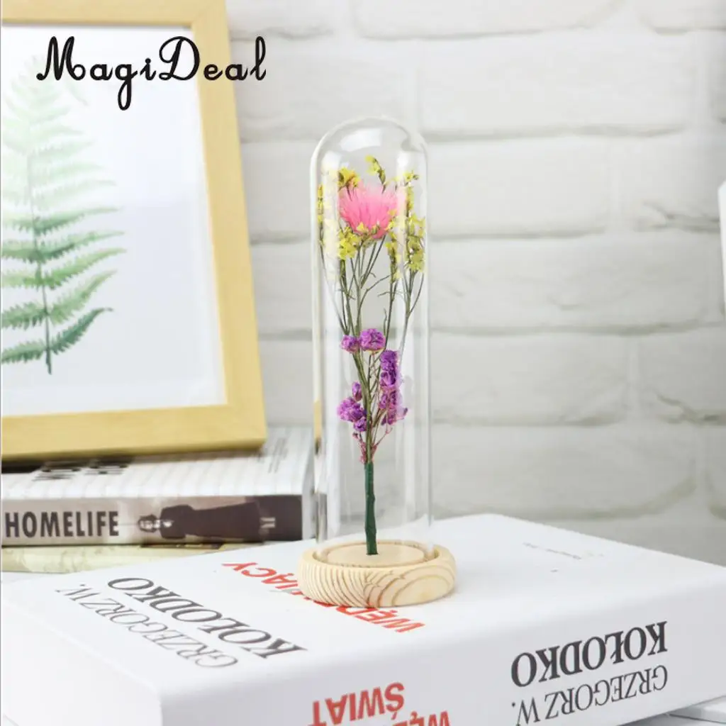 Clear Glass Display Cloche Bell Jar Dried Immortal Flower Preservation Vase Wooden Base Cafe Bar Countertop Decor Ornament