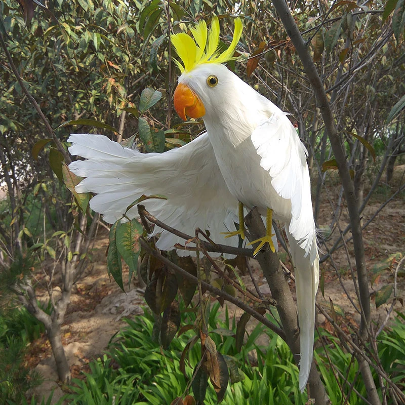 女の子のための白いオウムの形をしたおもちゃ 美女装おもちゃ 45cm Toys Gift Gift Toysfur Toy Aliexpress