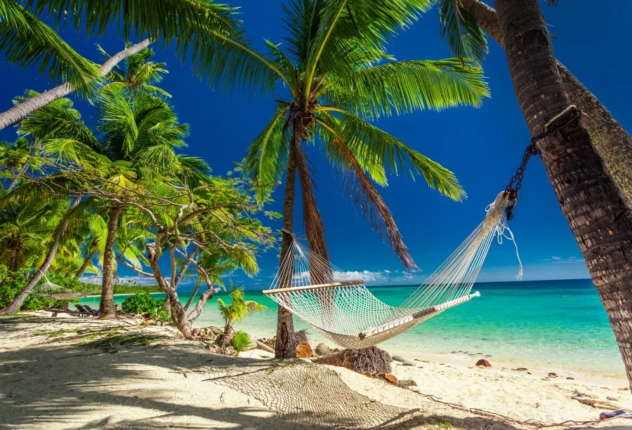 Laeacco Tropical Palm Tree Hammock Sea Beach Holiday Summer Baby Scenic ...