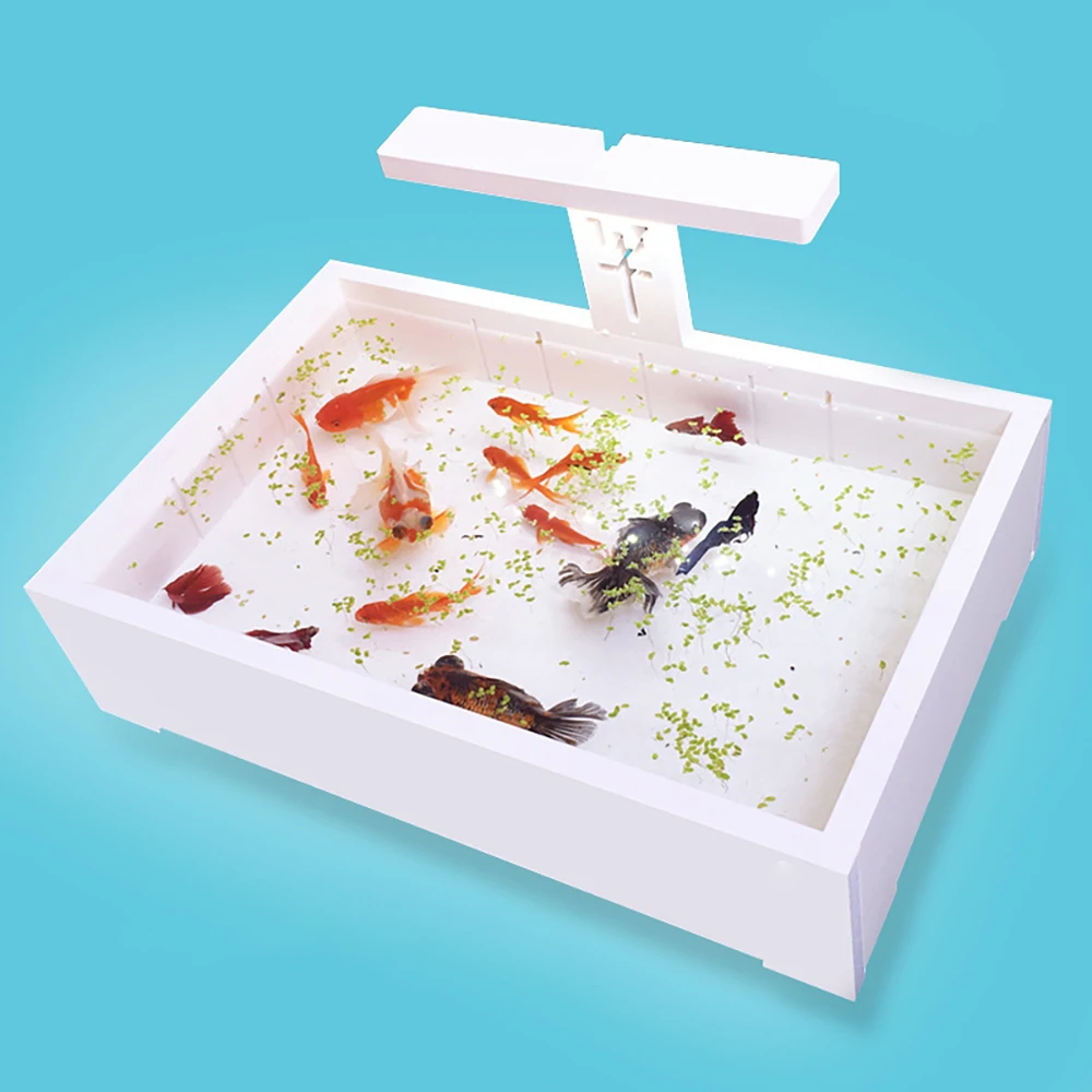 

Turtle Cylinder Small Betta Tank Isolation Desktop Plastic Turtle Fish Tank Scorpion Spider Breeding Acrylic Cover