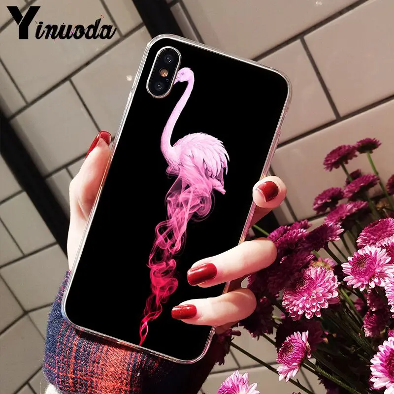 Flamingo Cute Animals Birds