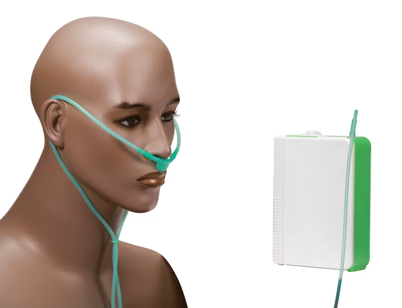 Excellent Medical Li Battery Oxygen Generator Healthcare DC12V Portable Lithium Battery O2 Concentrator With Battery Car Charger Adaptor 1