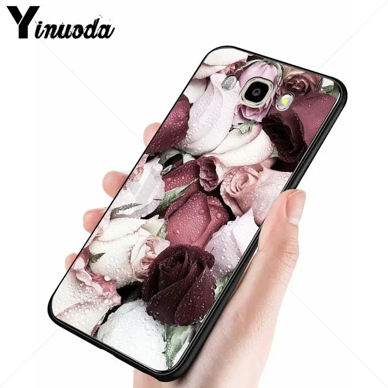 Large swath of daisy pink flowers