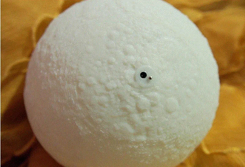 QQ20171221174323_