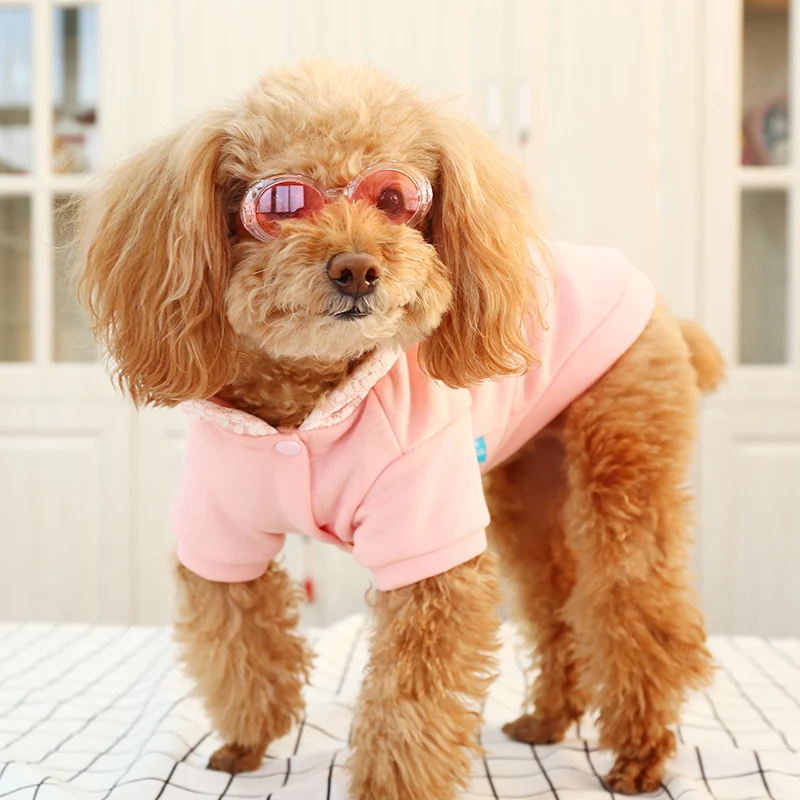 Petcircle новый стиль весенняя одежда для собак модная Розовая Толстовка с мороженым