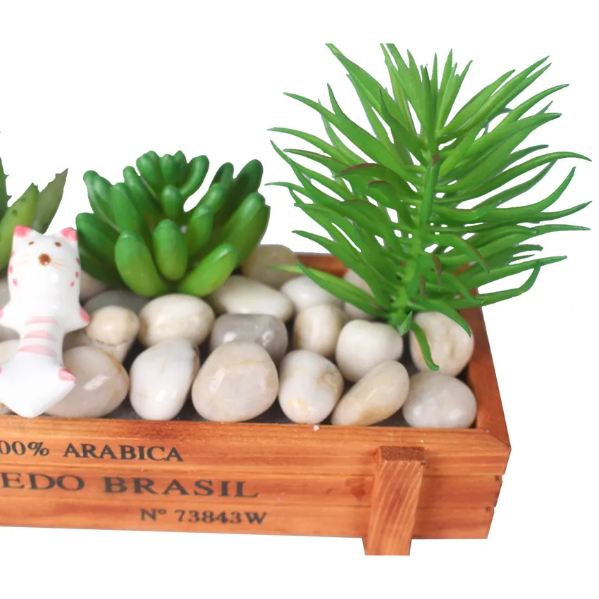 rtificial fleshiness Cactus plant Succulent plants cactus bonsai local landscape decorative flower for box decoration (4)