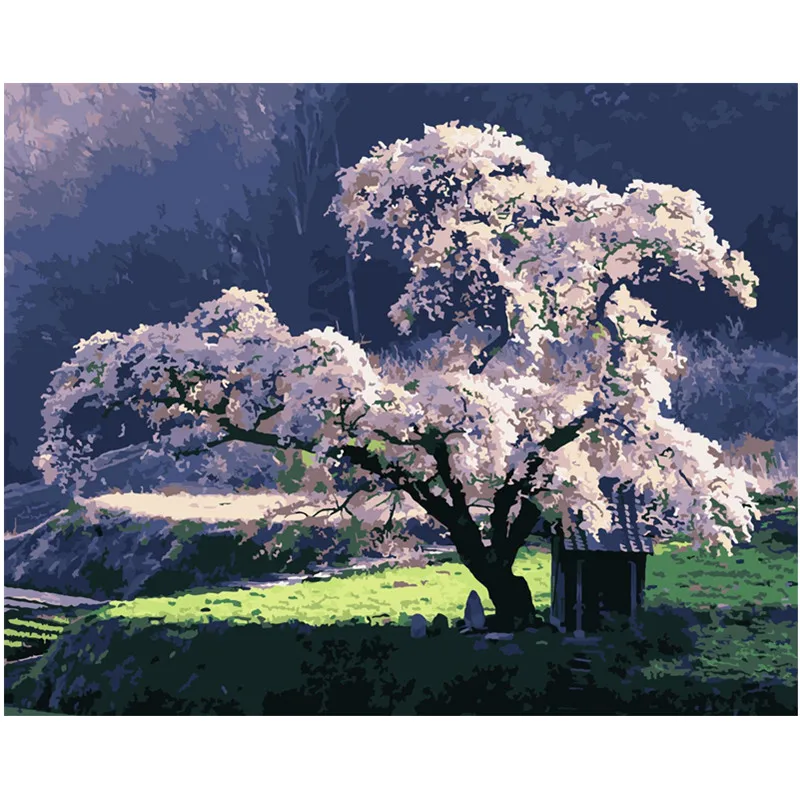 WM-1249-樱花树风景