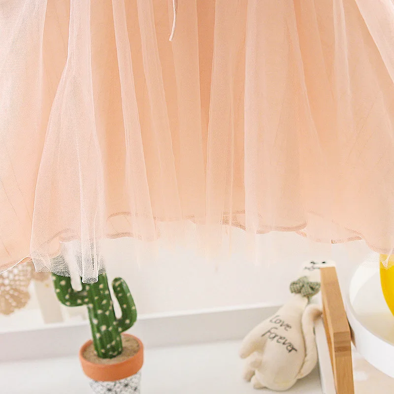 Newborn Baby Girls Lace Dress Party Kids Clothing 2019 Fashion Cute Princess Christening Toddler girls 1 Years Birthday Dresses (10)
