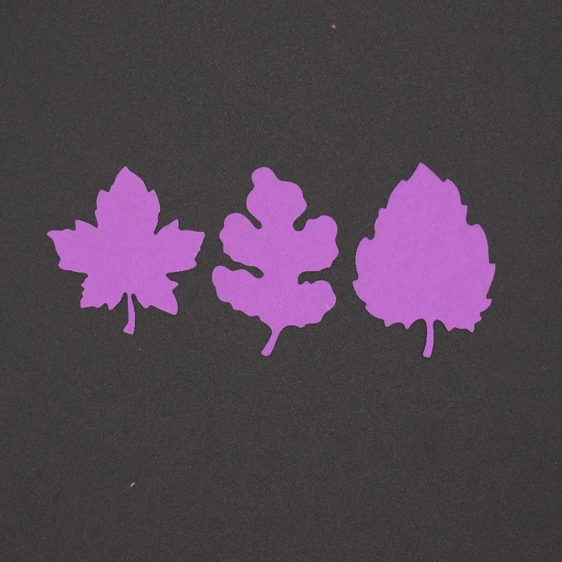 169245